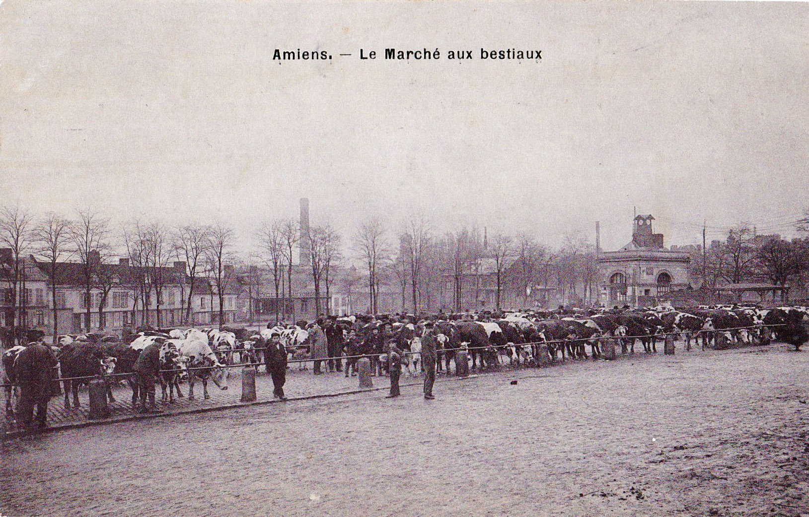 Amiens - Le Marché aux bestiaux