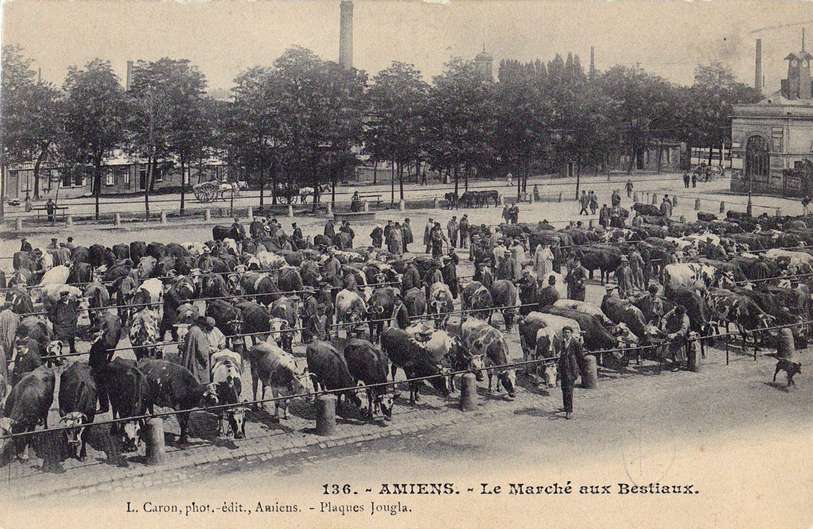 Amiens - Le Marché aux bestiaux 136