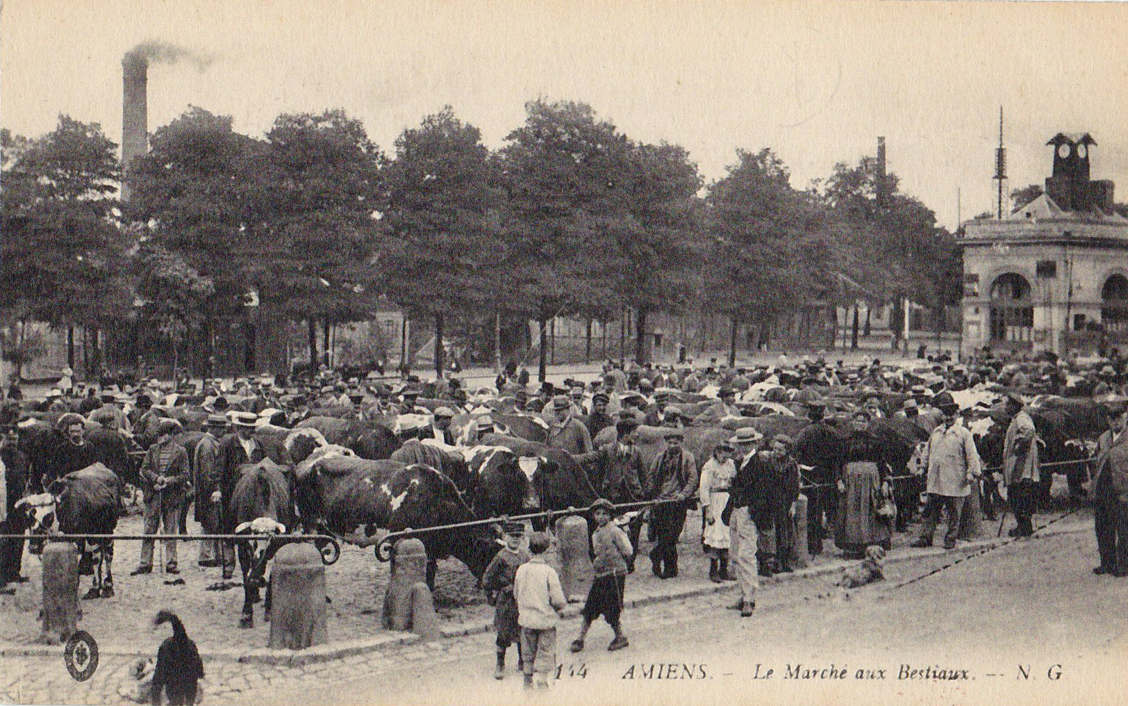 Amiens - Le Marché aux bestiaux 144