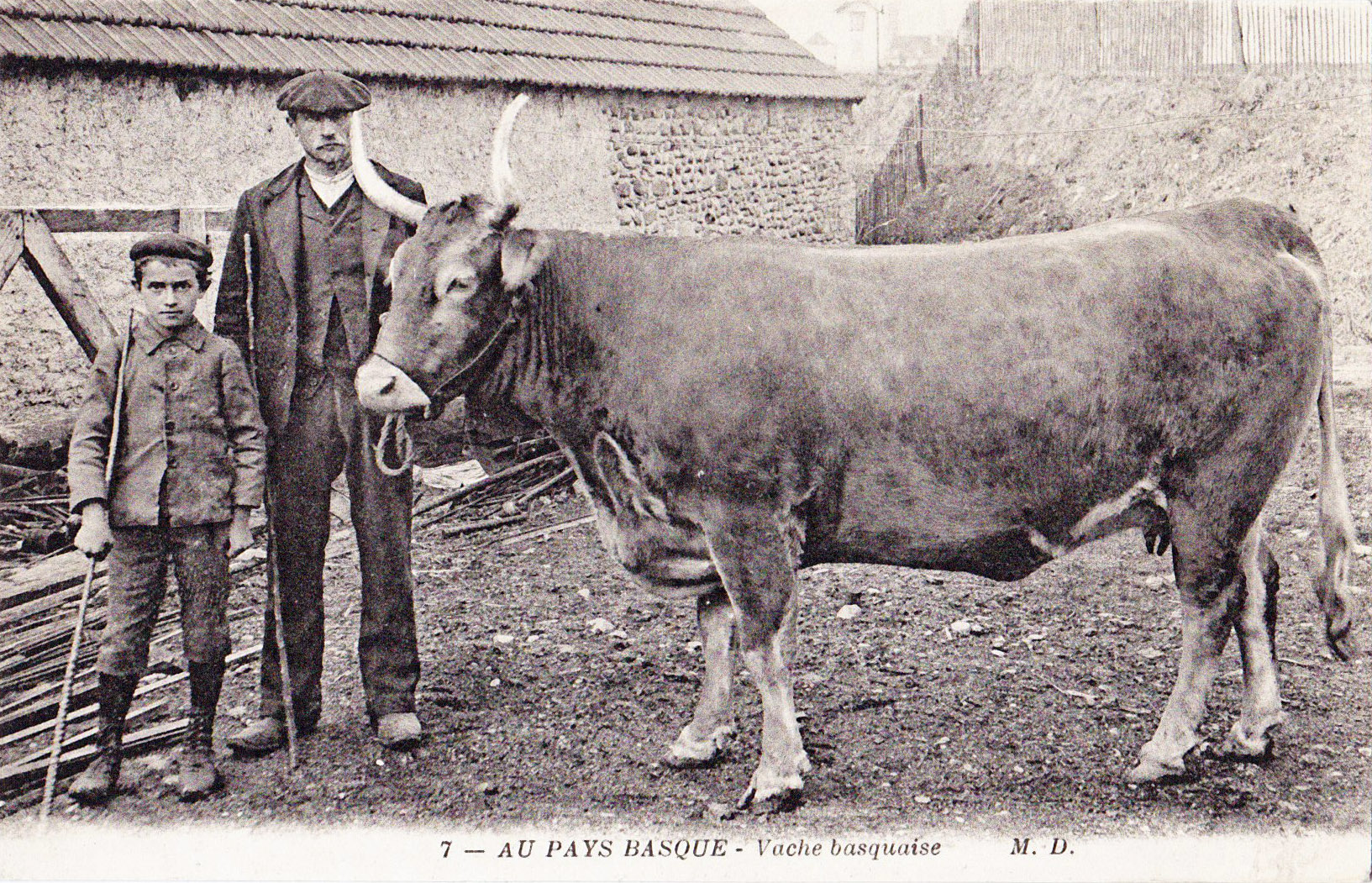 Pays Basque - Vasque basquaise