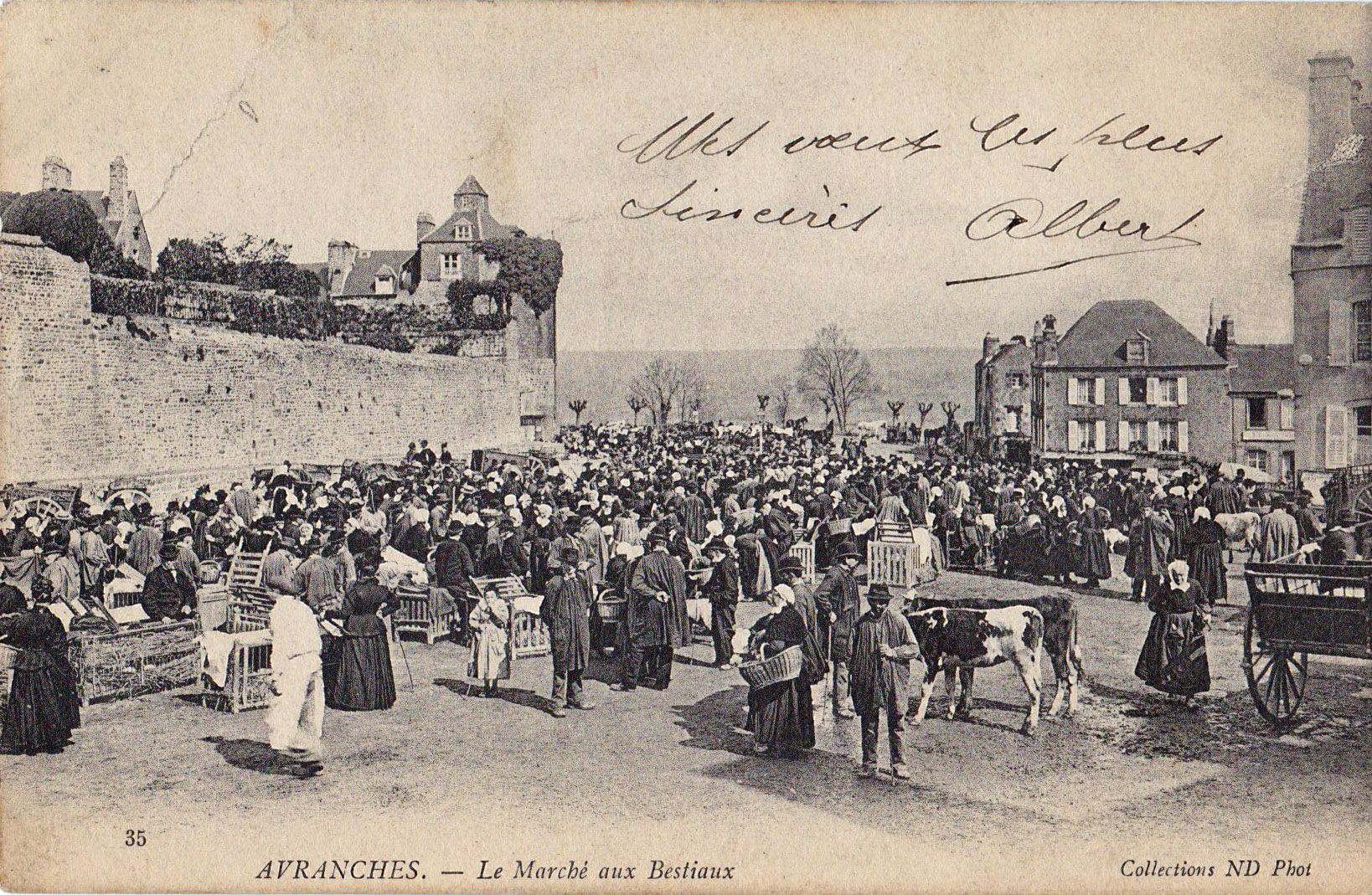 Avranches - Le Marché aux bestiaux