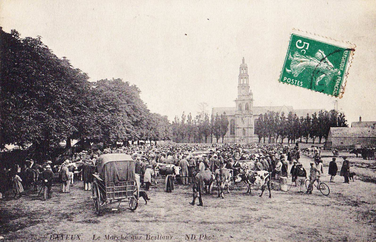 Bayeux - Le Marché aux bestiaux 75