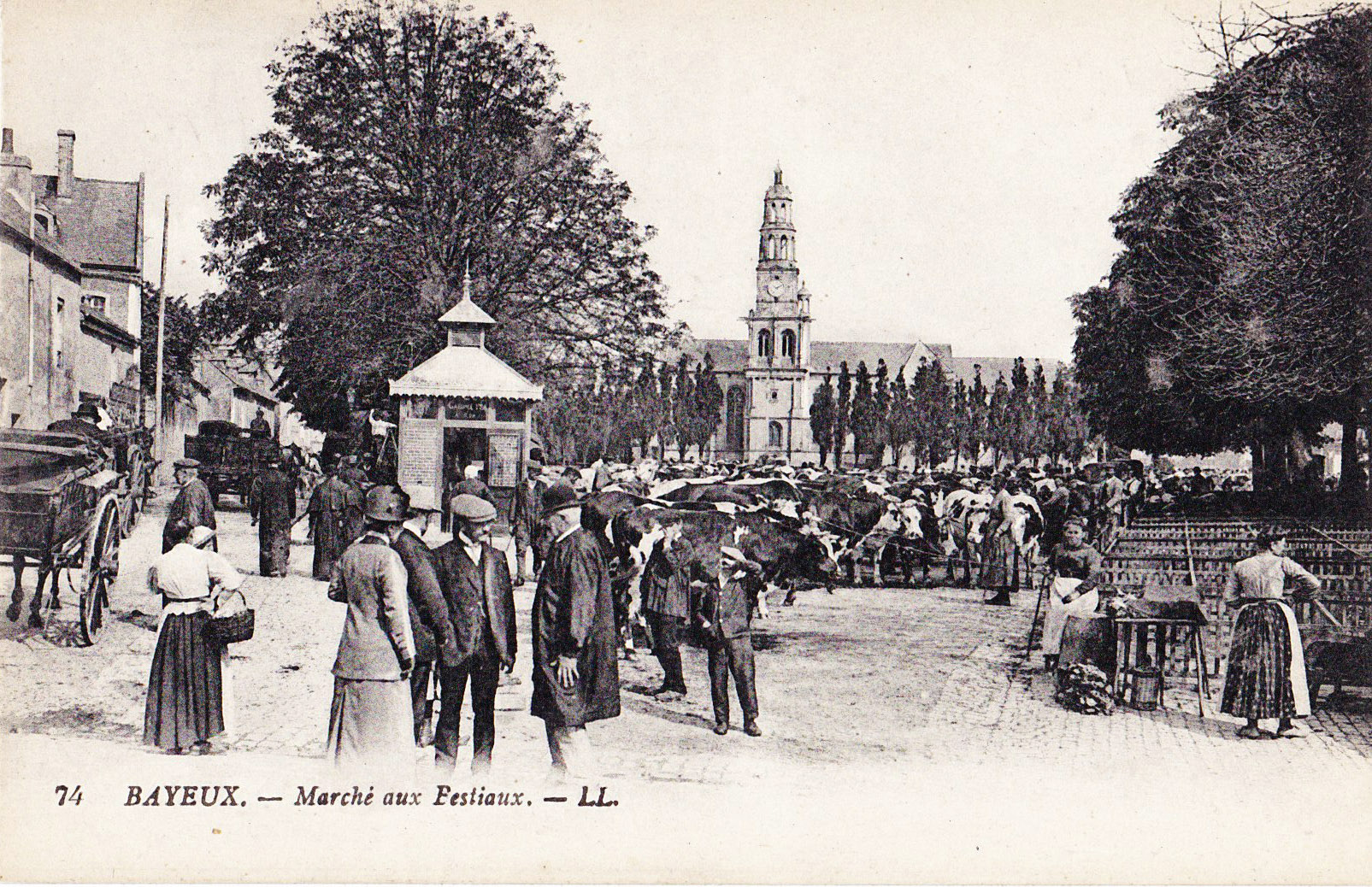 Bayeux - Le Marché aux bestiaux 74
