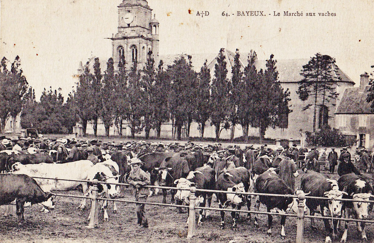 Bayeux - Le Marché aux vaches