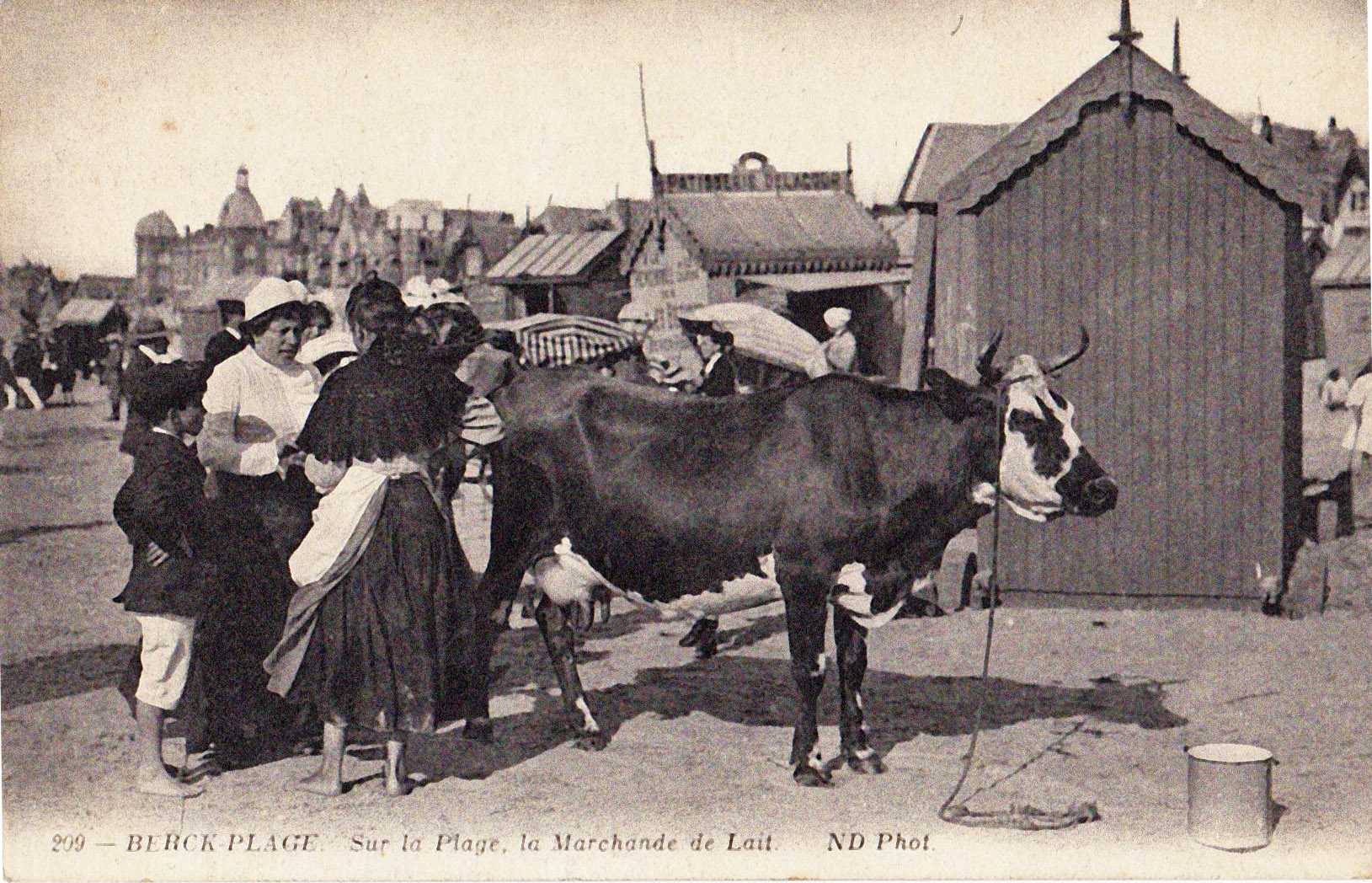 Berck-Plage - Sur la Plage la Marchande de lait