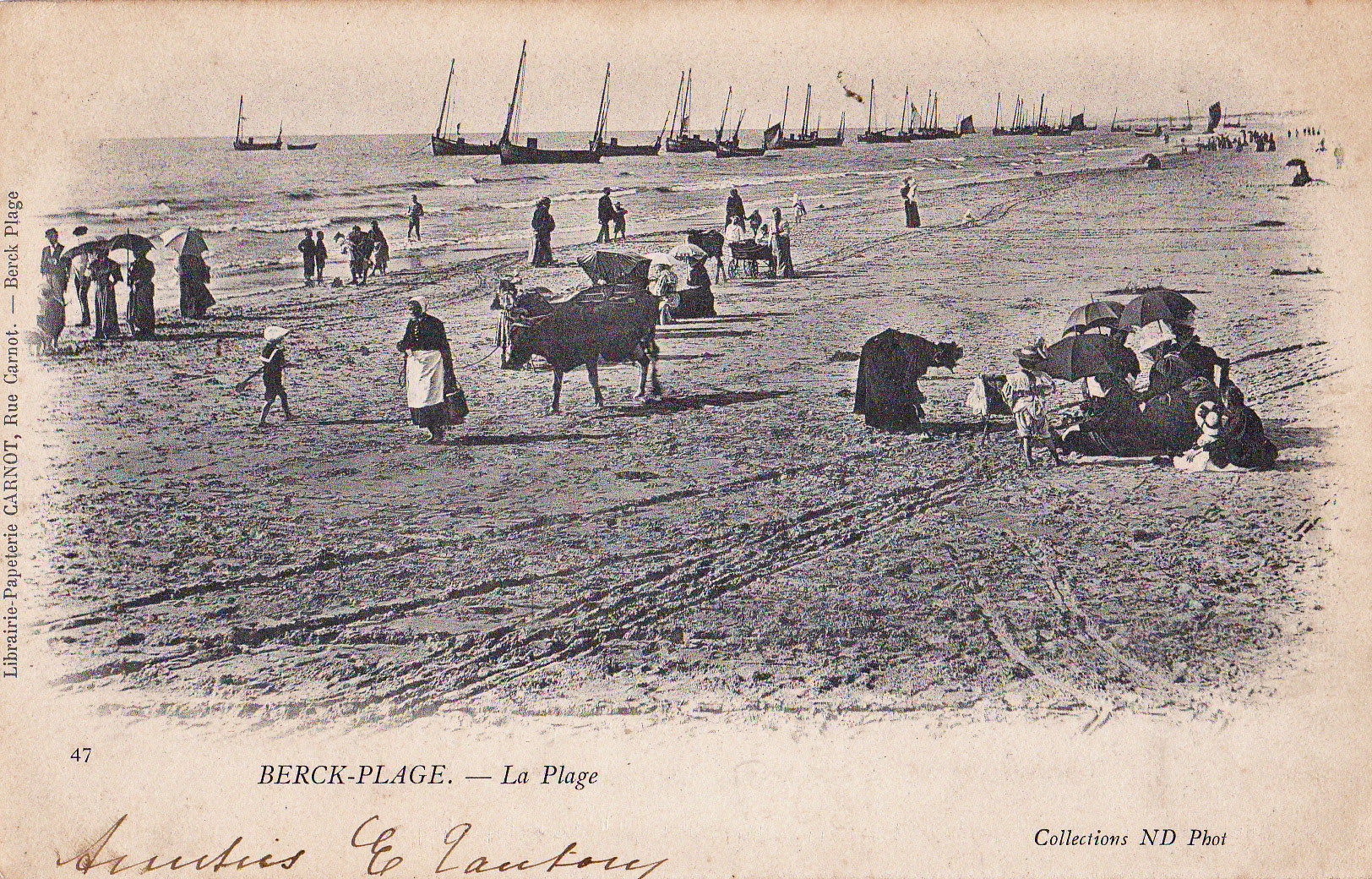 Berck-Plage - La laitière et sa vache sur la Plage