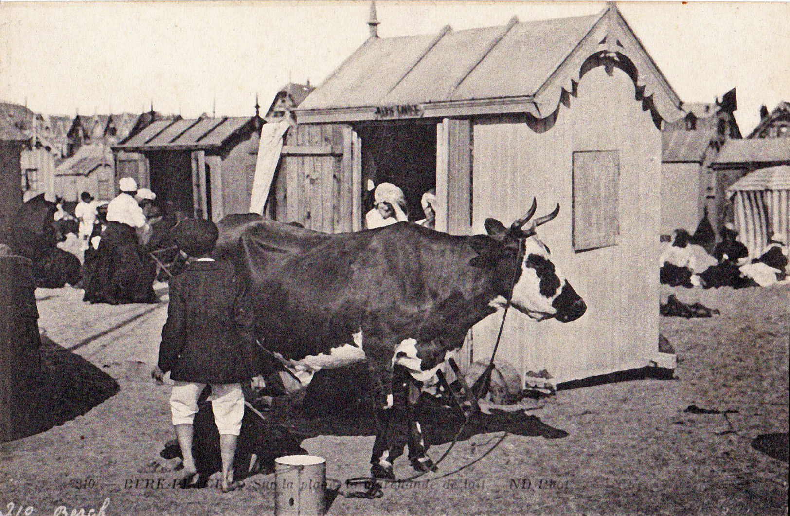 Berck-Plage - Sur la Plage la Marchande de lait