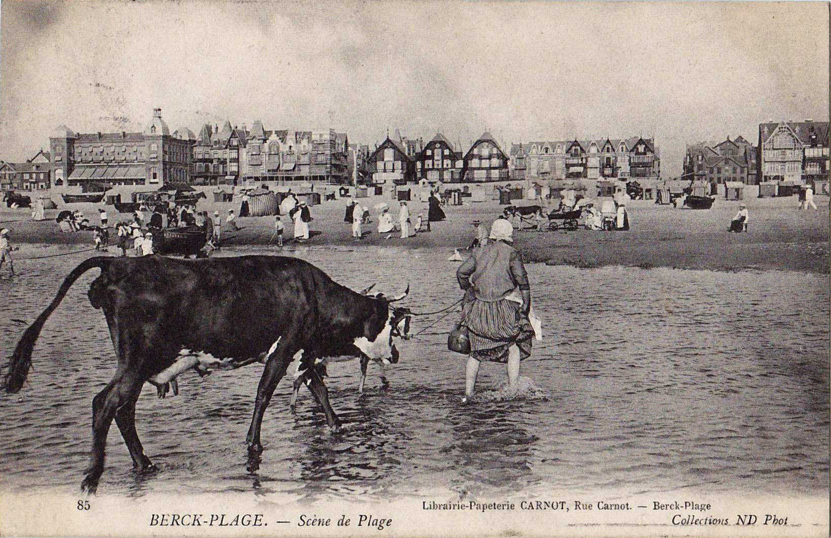 Berck-Plage - Scène de plage La laitière et sa vache dans l'eau