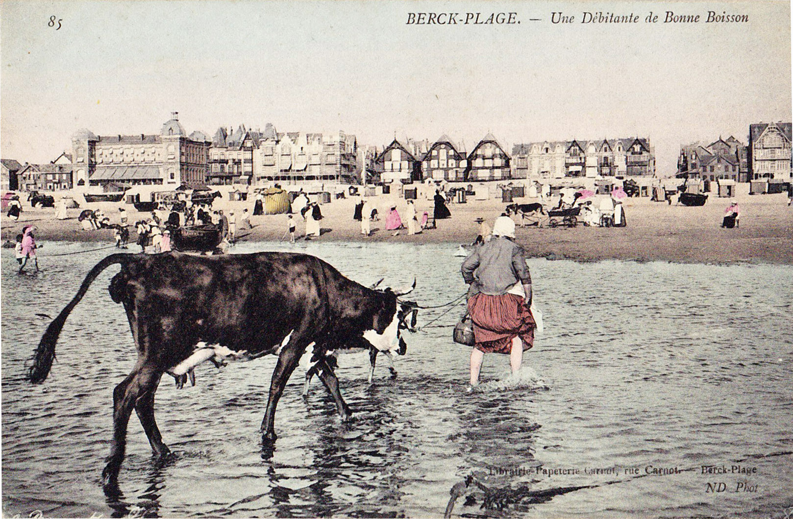 Berck-Plage - Une débitante de bonne boisson - La laitière et sa vache à la Plage