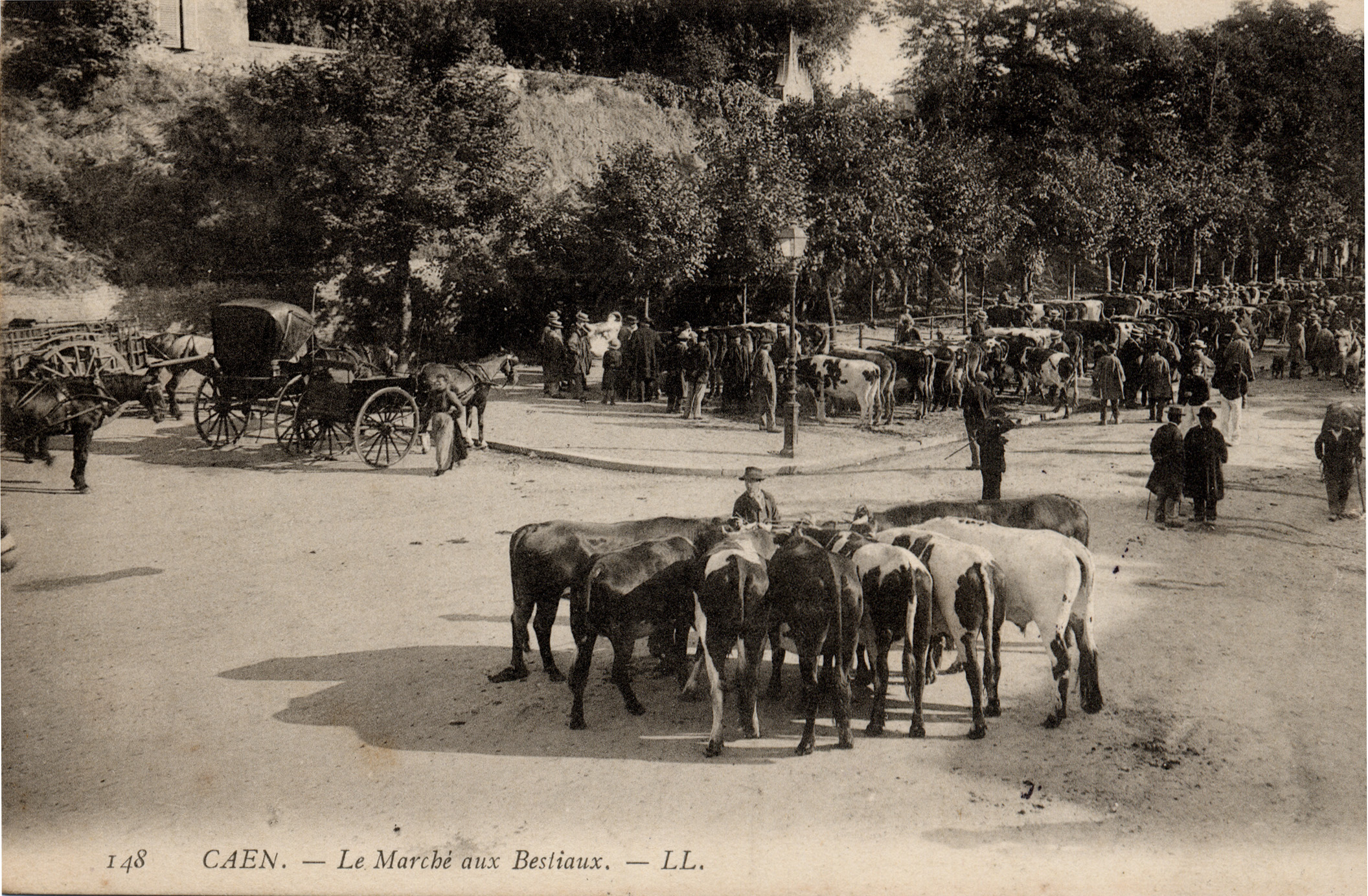 Caen - Marché aux bestiaux