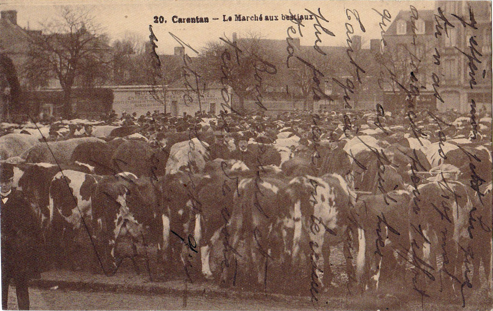 Carentan - Le Marché aux bestiaux