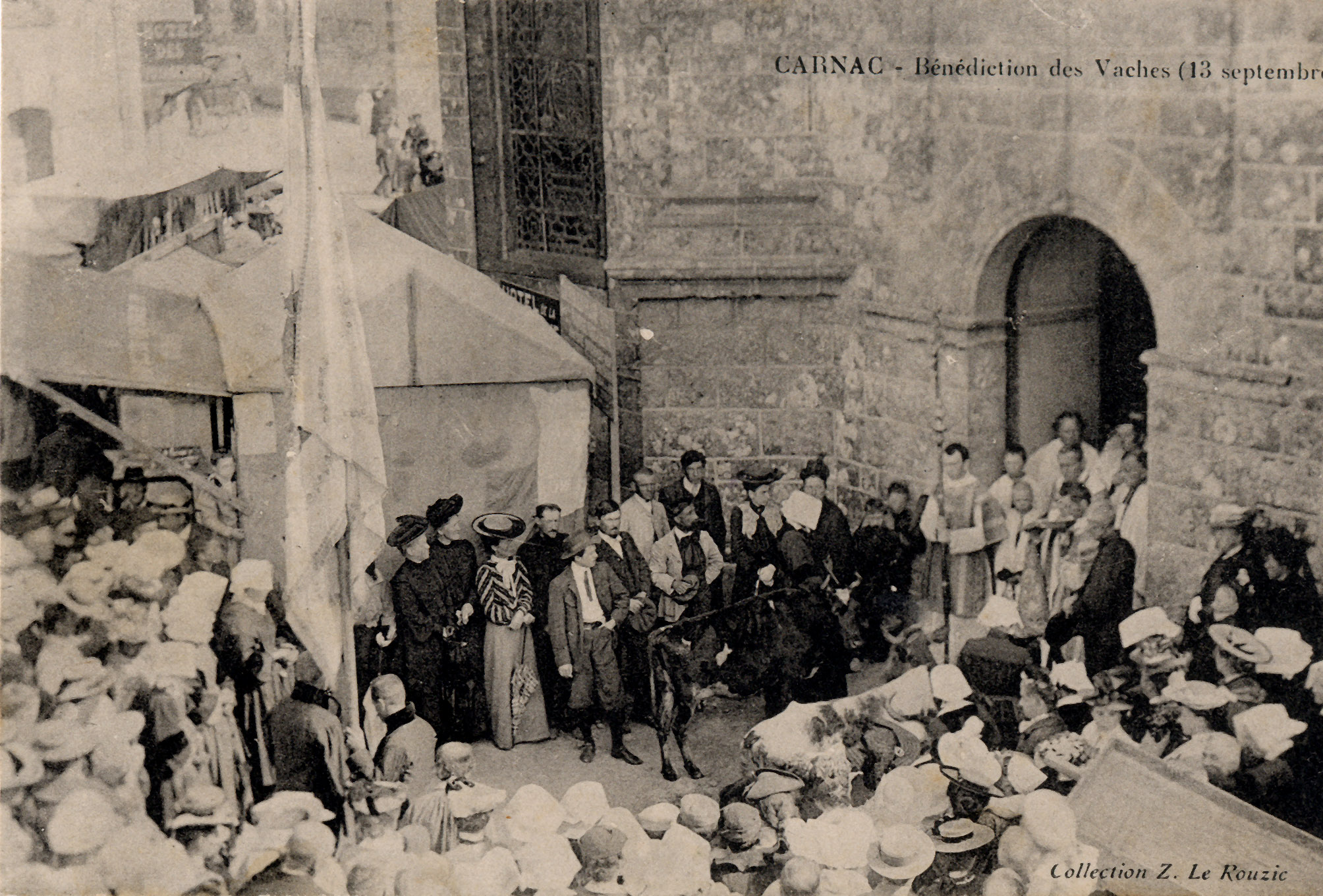 Carnac - Bénédiction des vaches