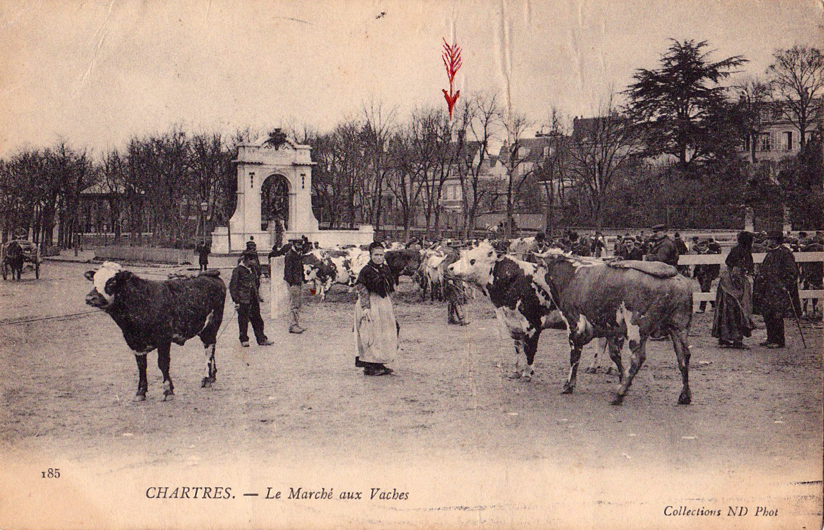 Chartres - Le Marché aux Vaches