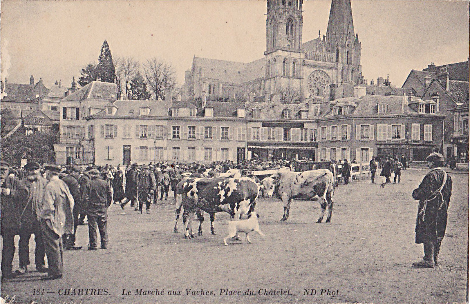 Chartres - Le Marché aux vaches Place du Chatelet