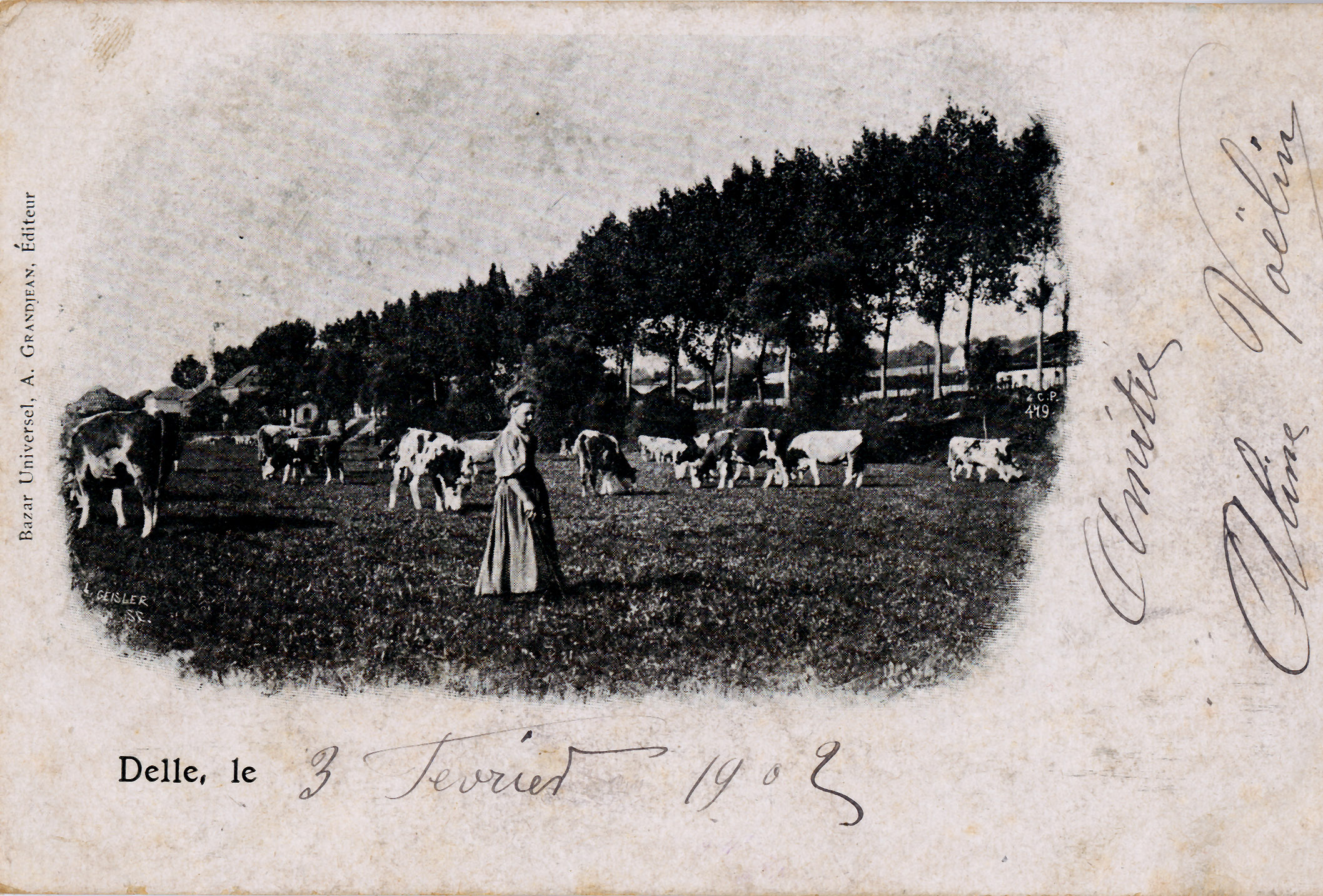 Delle le 3 février 1903 - Gardeuse de vaches et son troupeau
