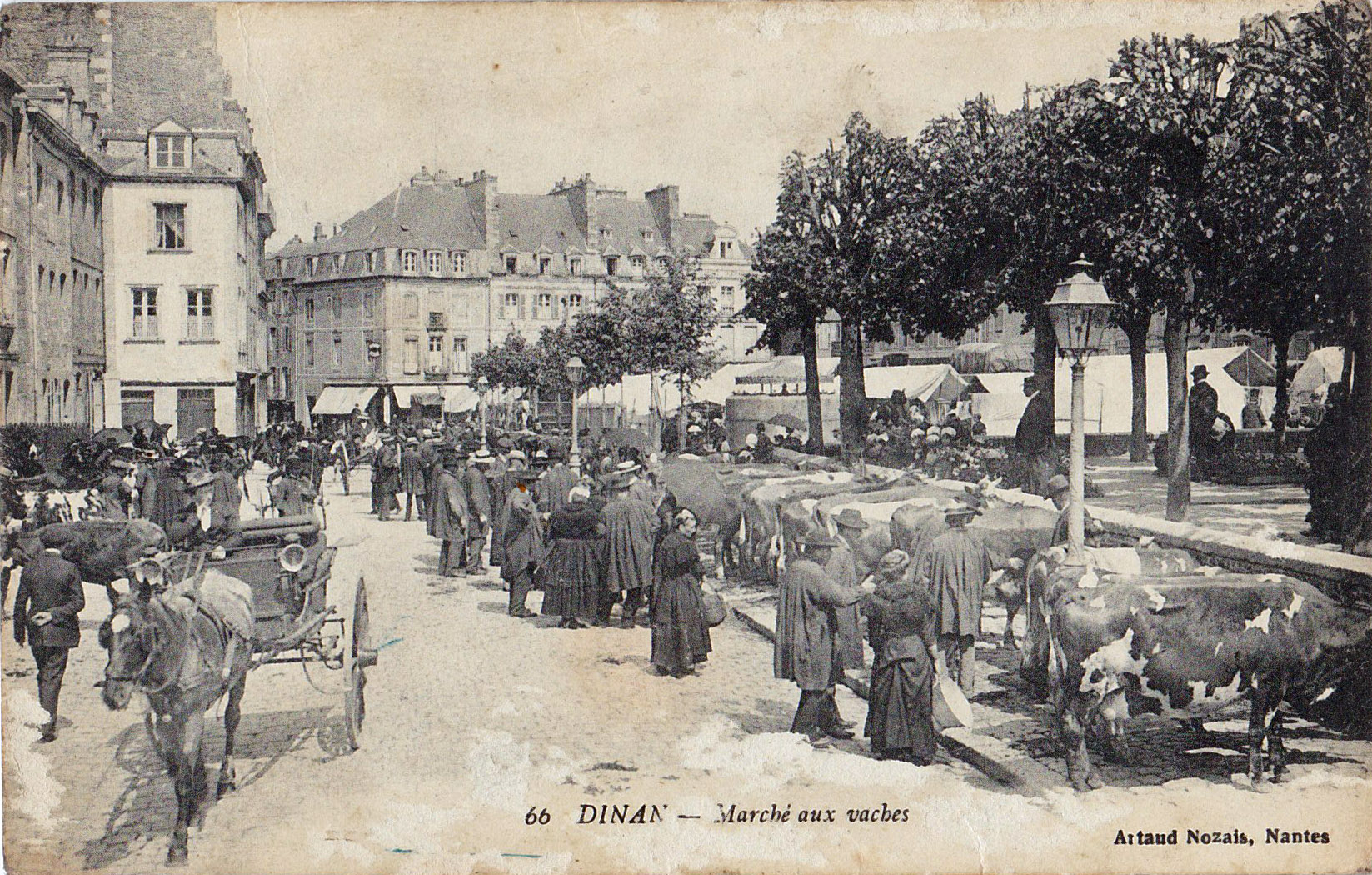 Dinan - Marché aux vaches