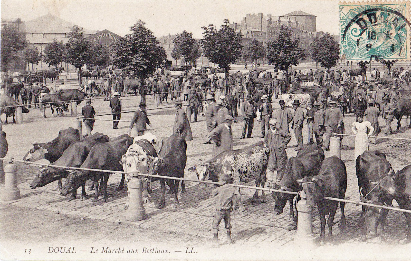 Douai - Le Marché aux bestiaux