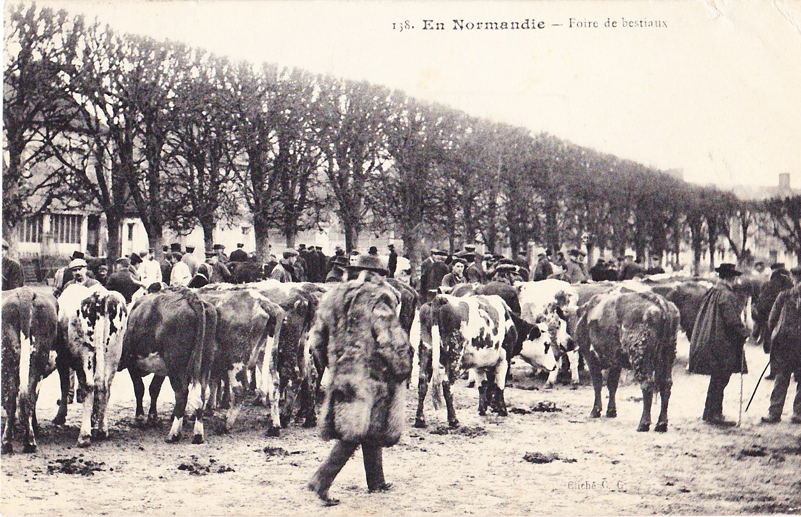 En Normandie - Foire de bestiaux