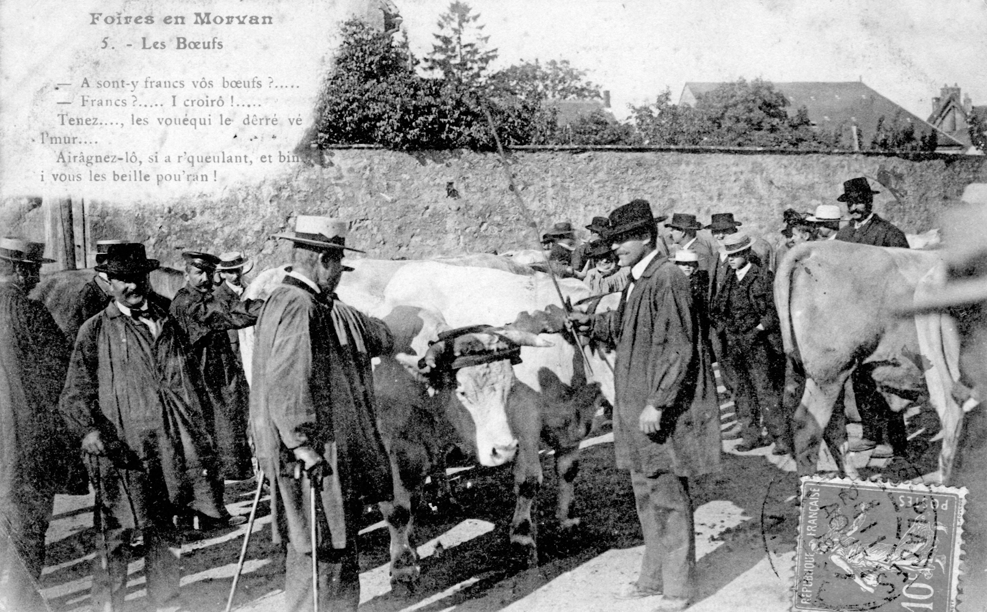 Foires en Morvan- 5 -Les boeufs