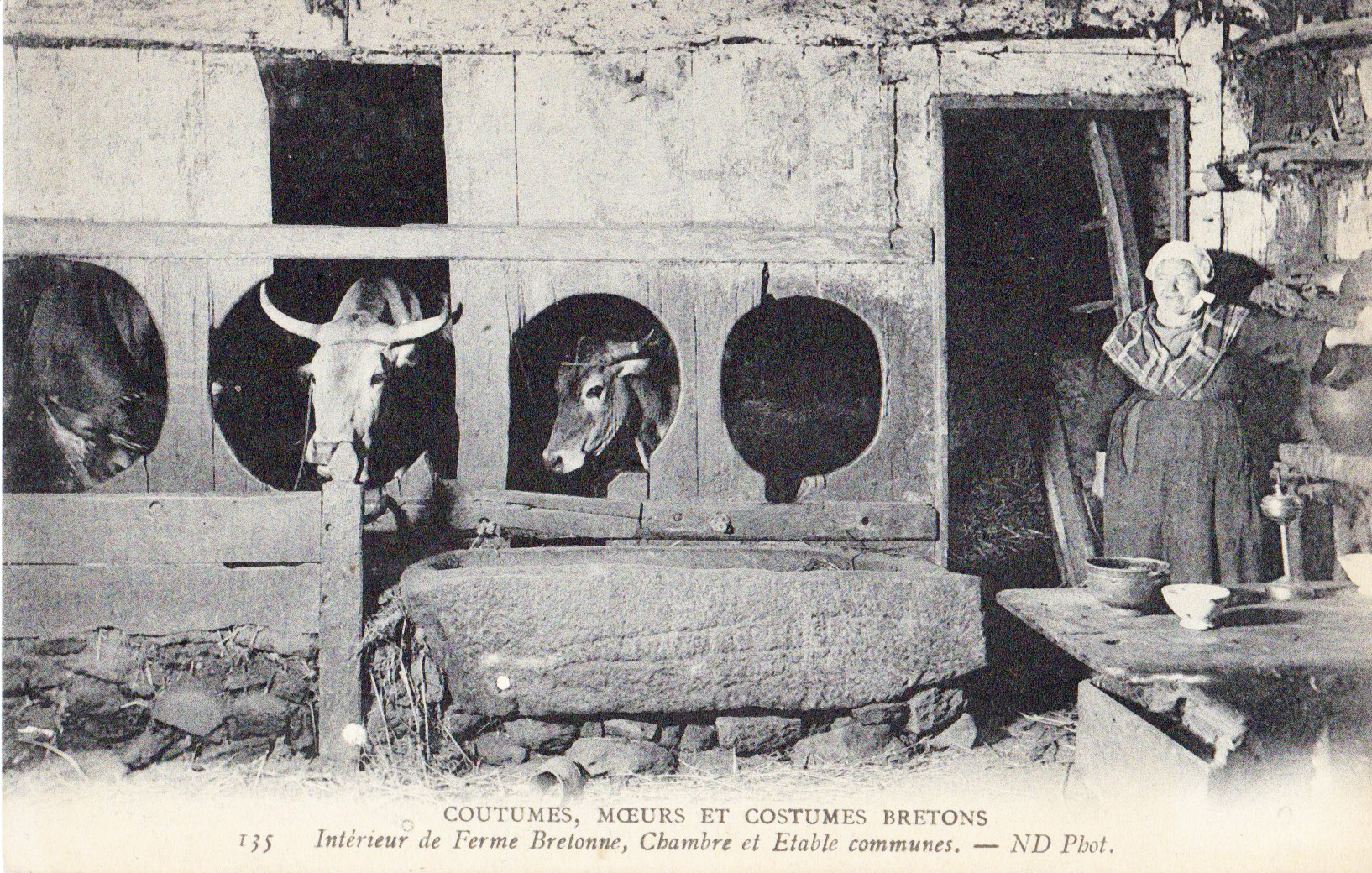Intérieur de ferme bretonne - Chambre et étable communes