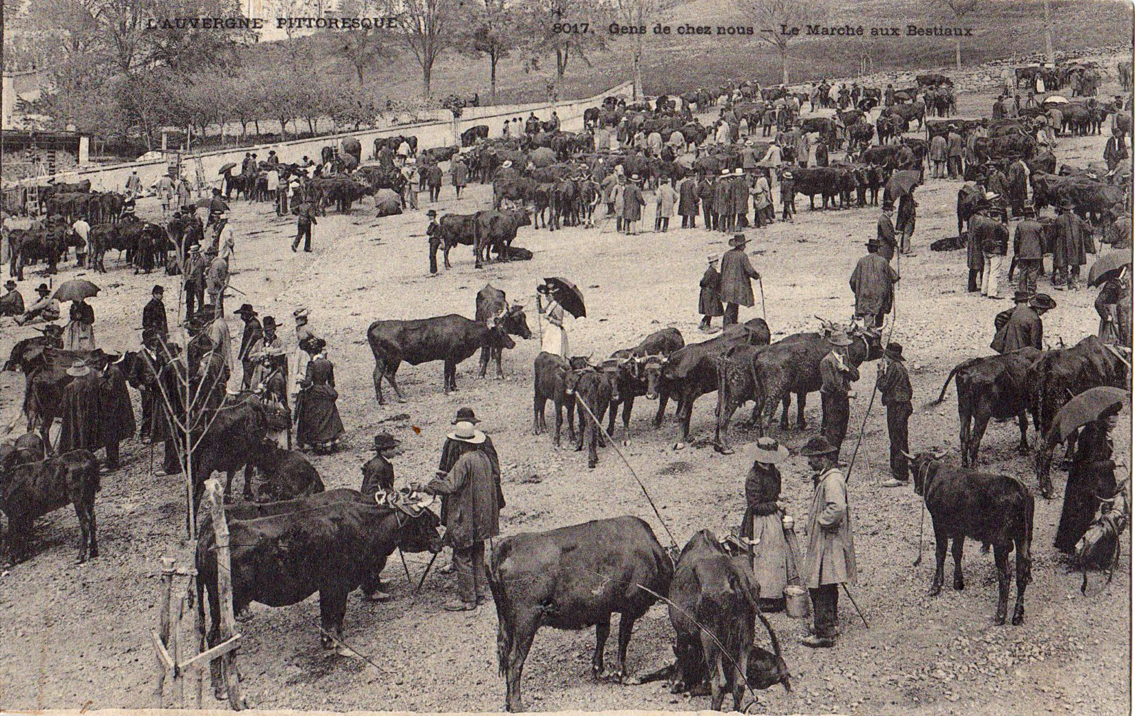 L'Auvergne pittoresque Gens de chez nous Le Marché aux bestiaux