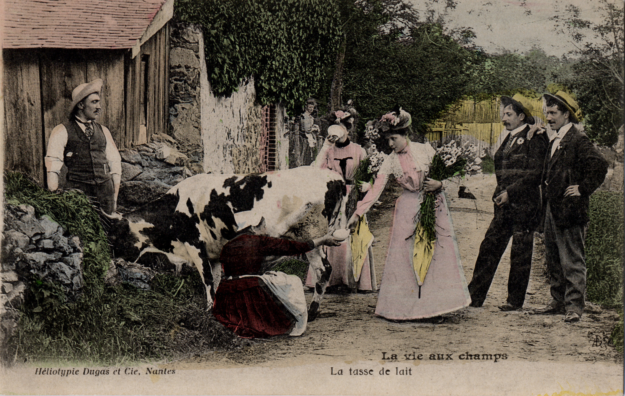 La vie aux champs - La tasse de lait