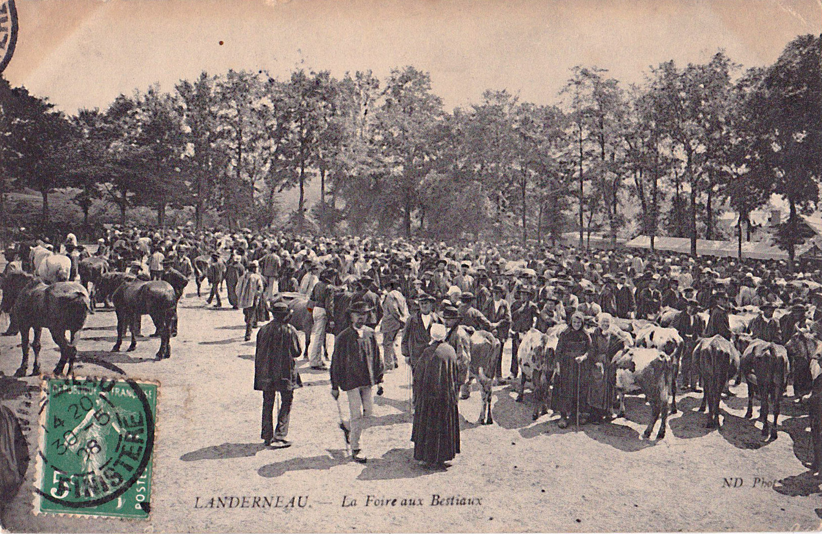 Landerneau - La Foire aux bestiaux