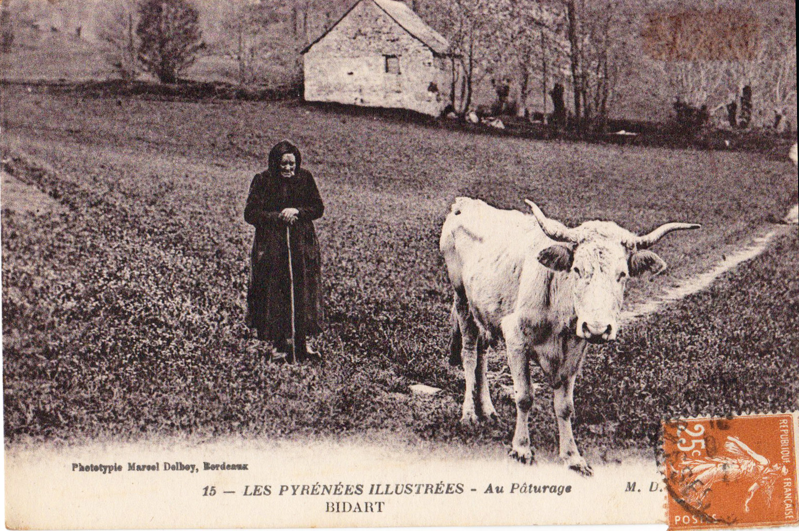 Les Pyrénées illustrées  - Au pâturage