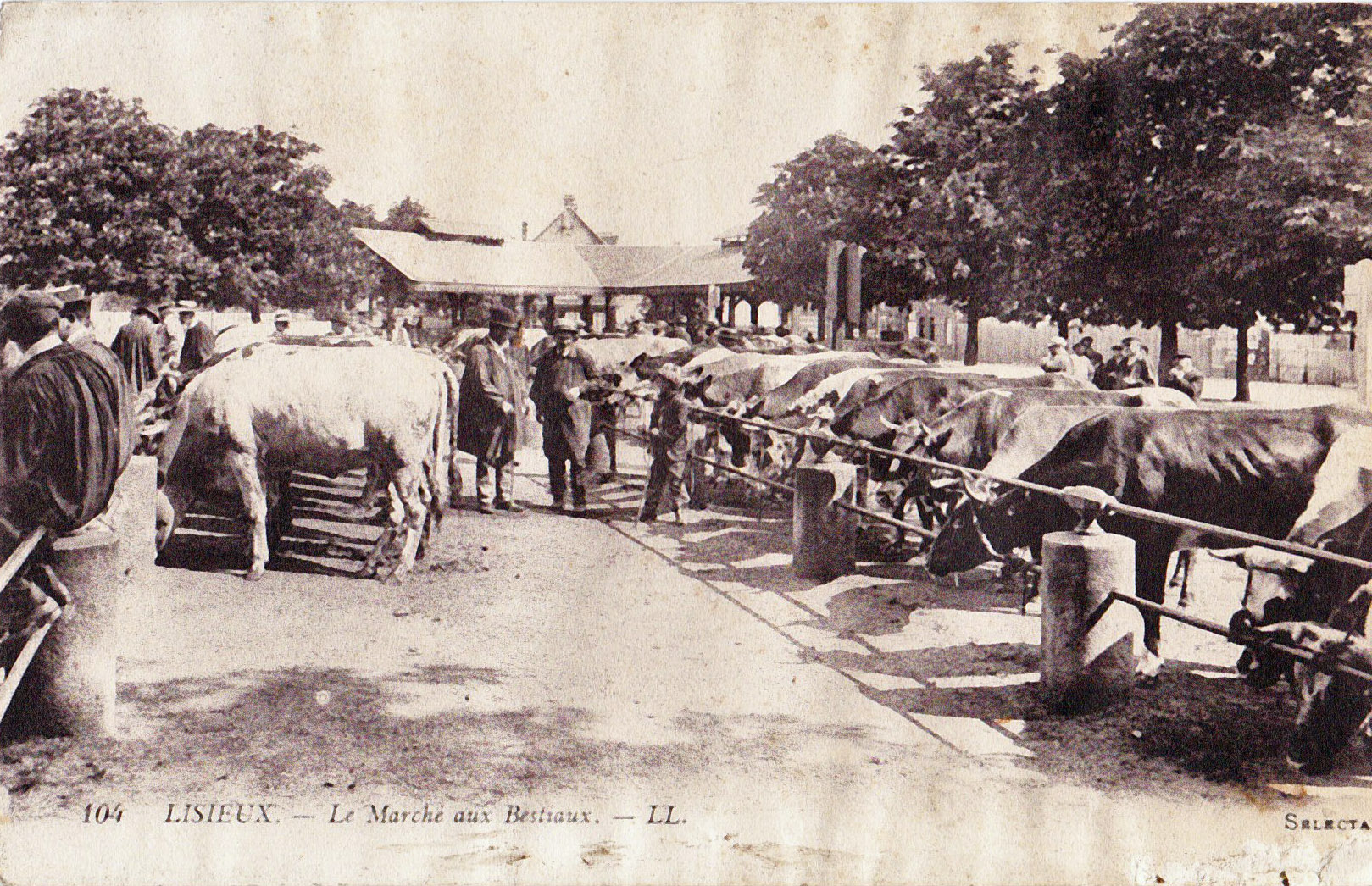 Lisieux - Le Marché aux bestiaux