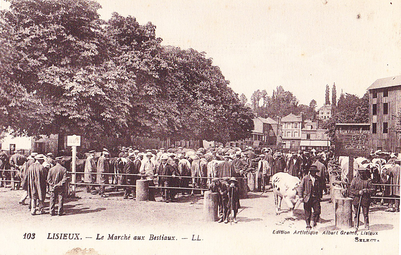 Lisieux - Le Marché aux bestiaux