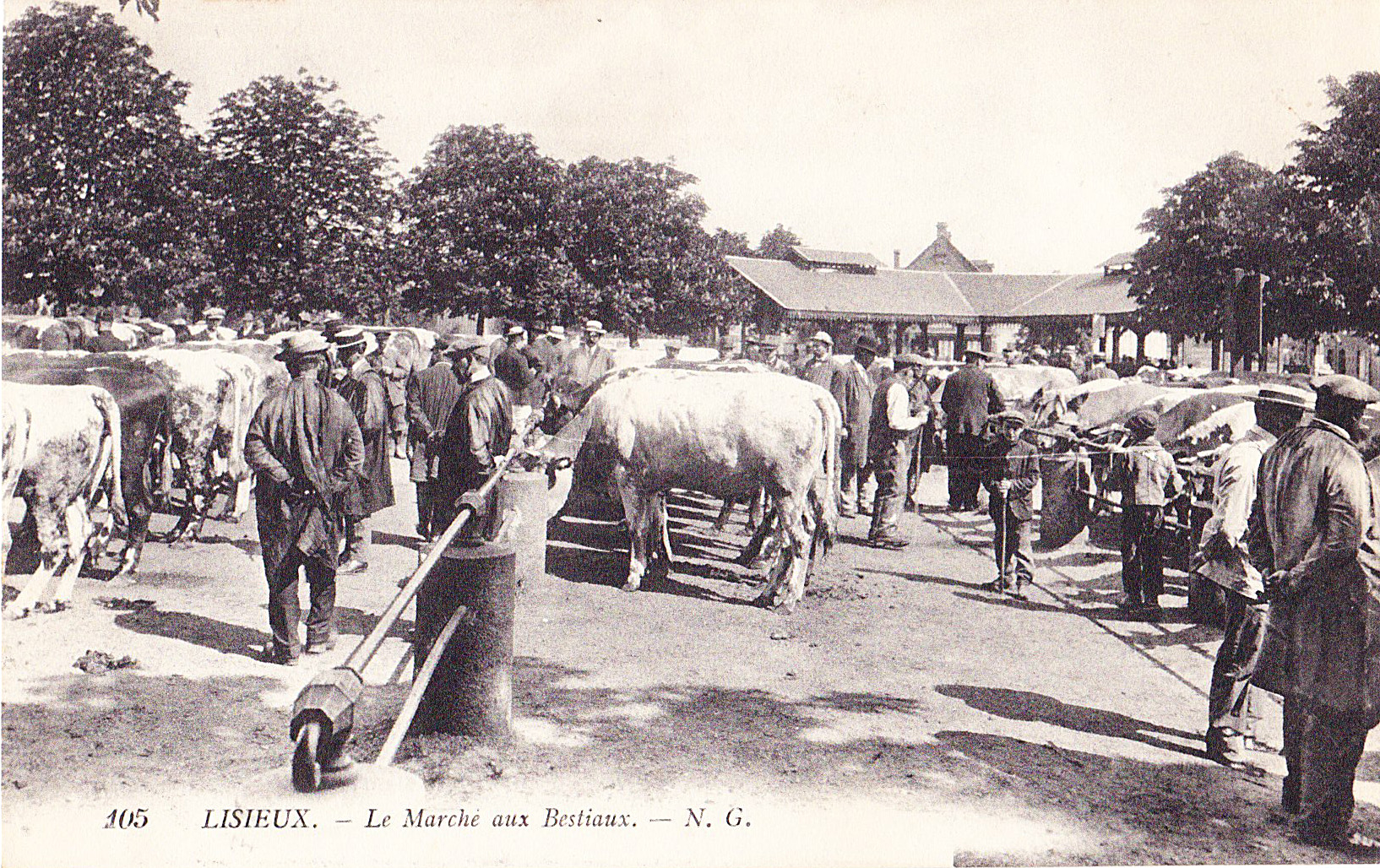 Lisieux - Le Marché aux bestiaux