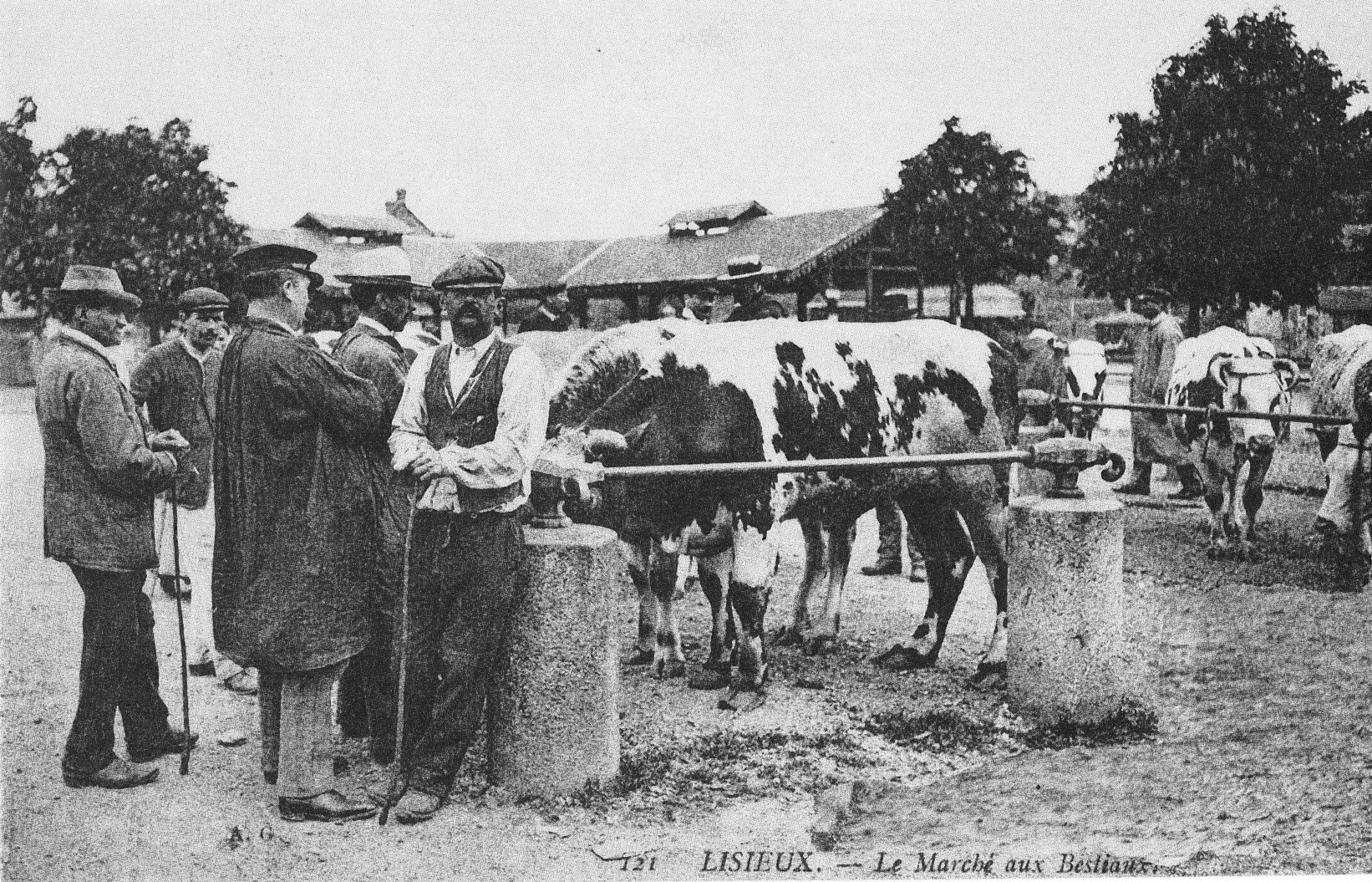 Lisieux - Le Marché aux bestiaux