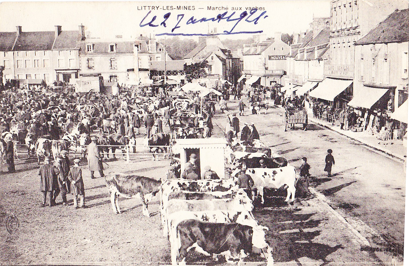 Littry-Les-Mines - Marché aux vaches