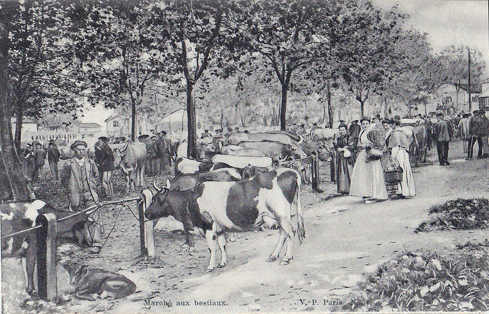 Marché aux bestiaux