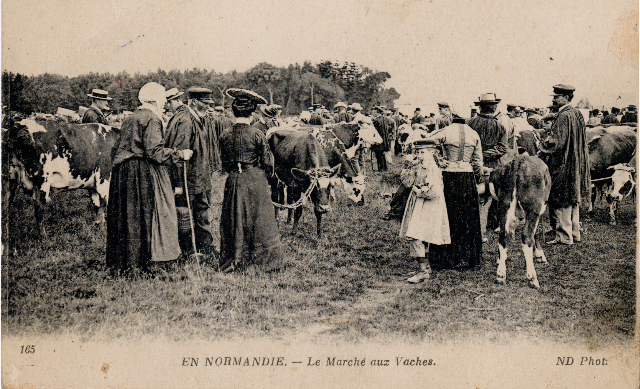 En Normandie Le Marché aux vaches