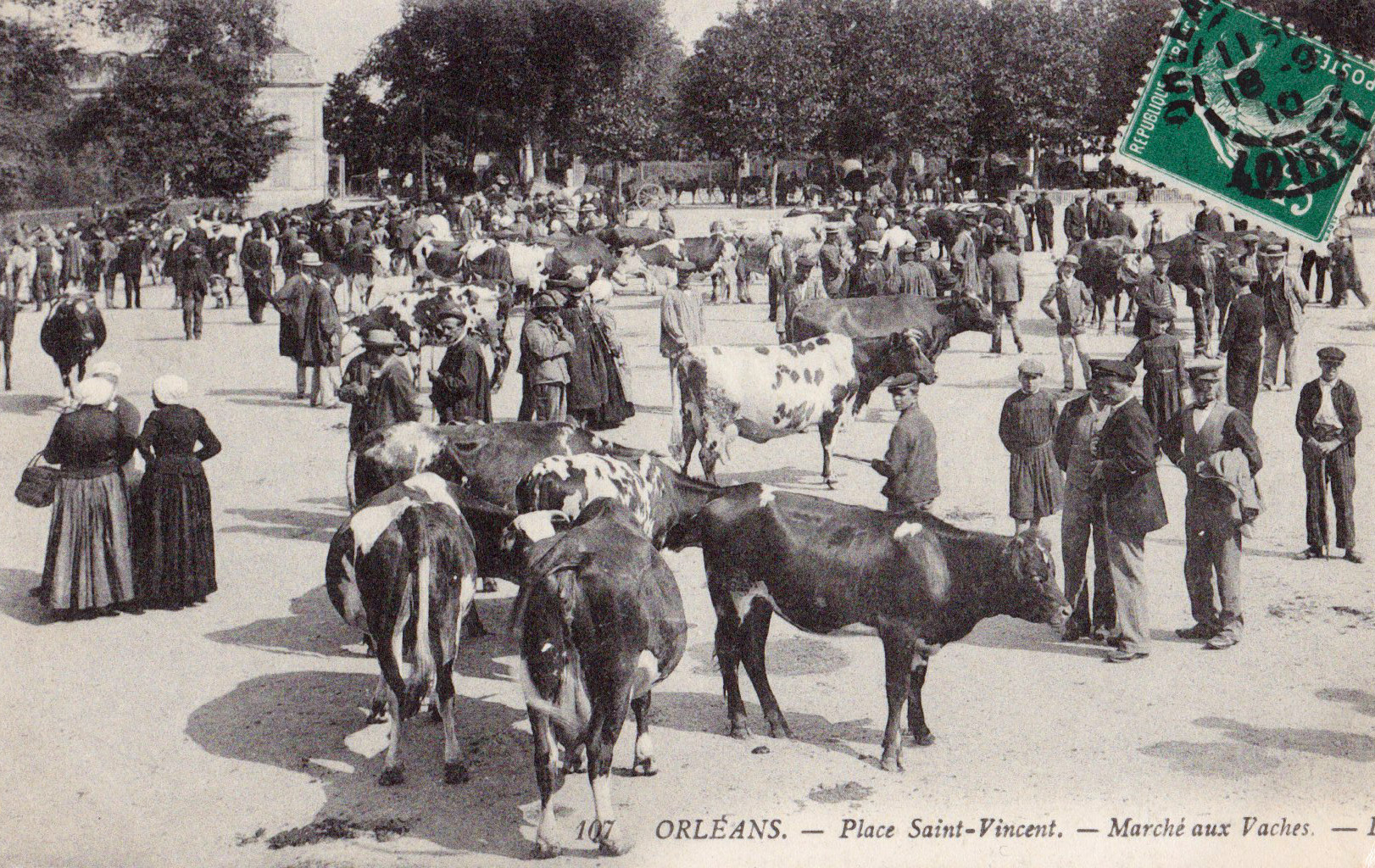 Orléans - Marché aux vaches Place Saint-Vincent