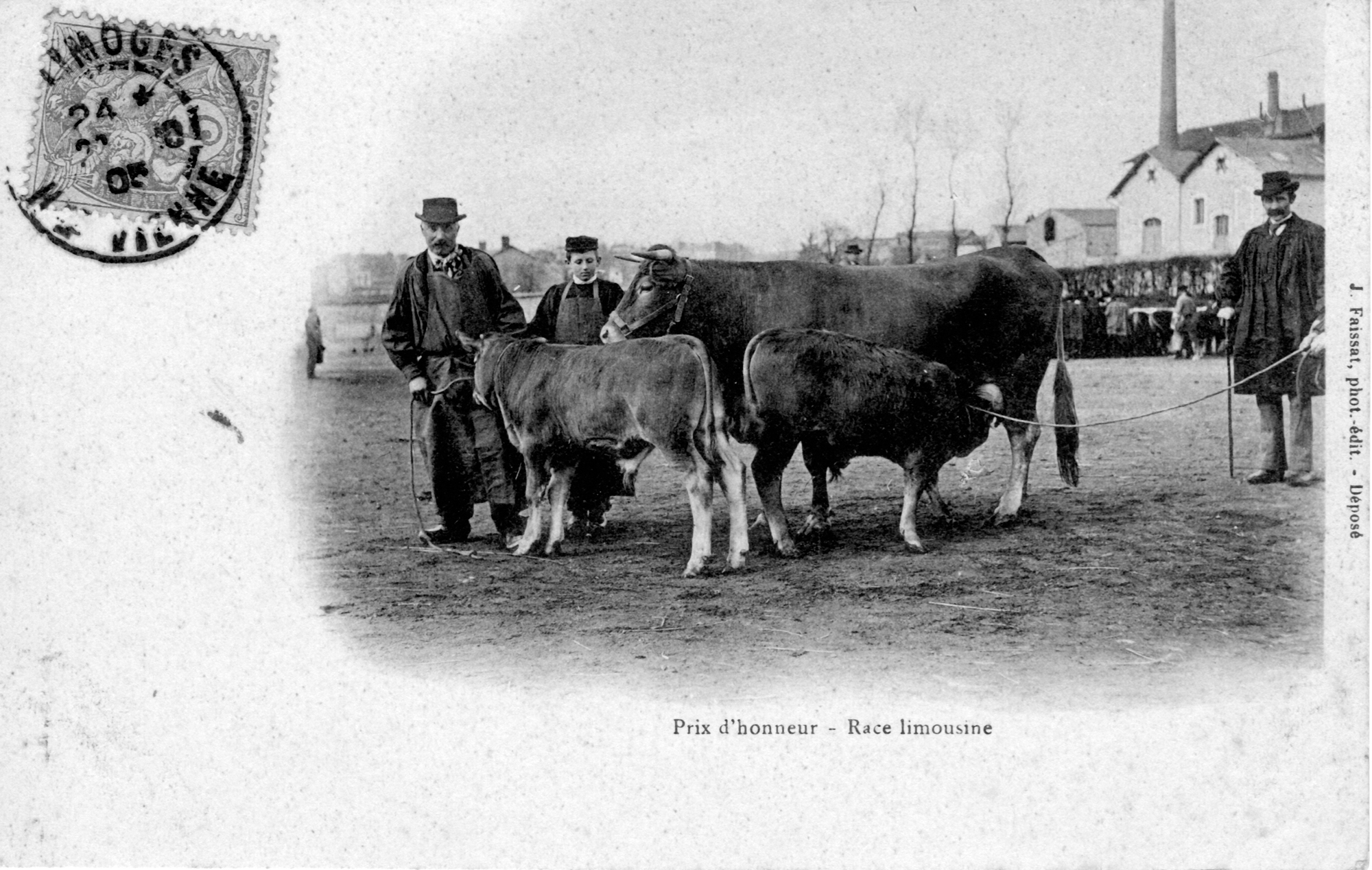 Prix d'honneur - Race Limousine