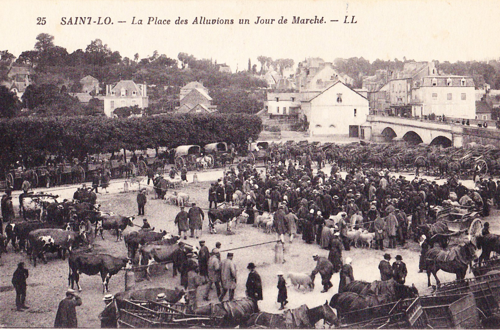 Saint-Lo - La Place des Alluvions un jour de marché