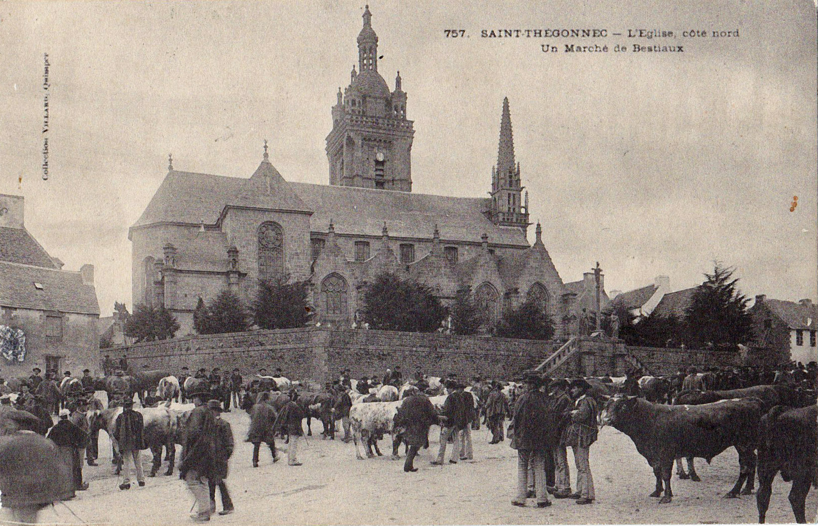Saint-Thégonnec L'Eglise coté nord - Un marché de bestiaux