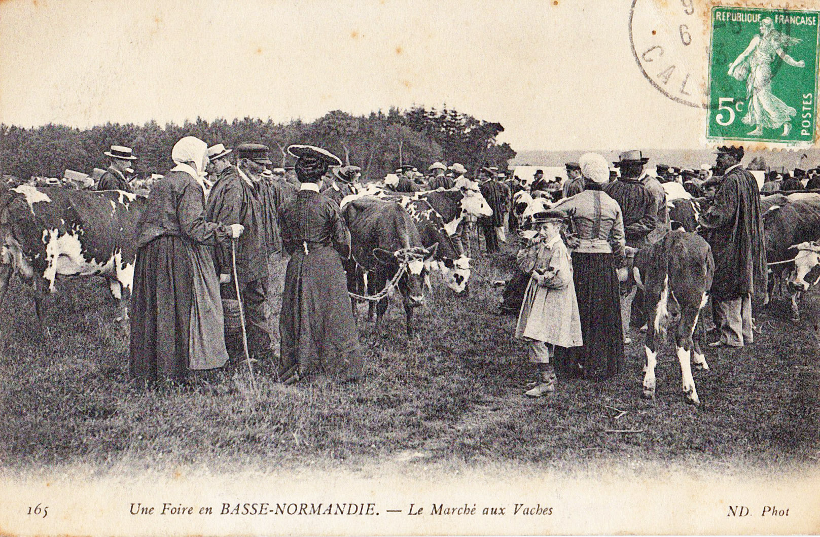 Une Foire en Basse-Normandie Le Marché aux vaches