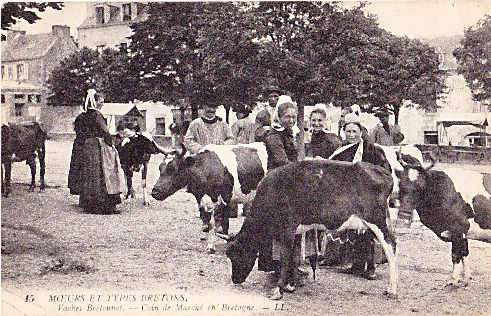 Moeurs et types bretons- Vaches bretonnes - Coin de marché en Bretagne