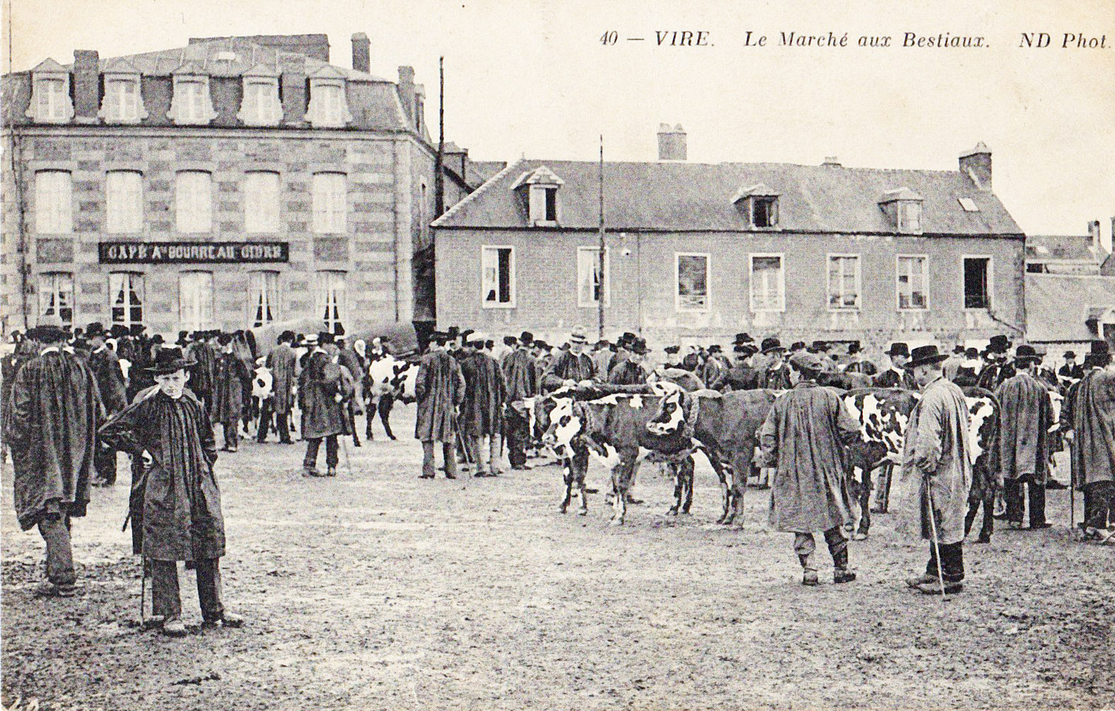 Vire - Le Marché aux bestiaux