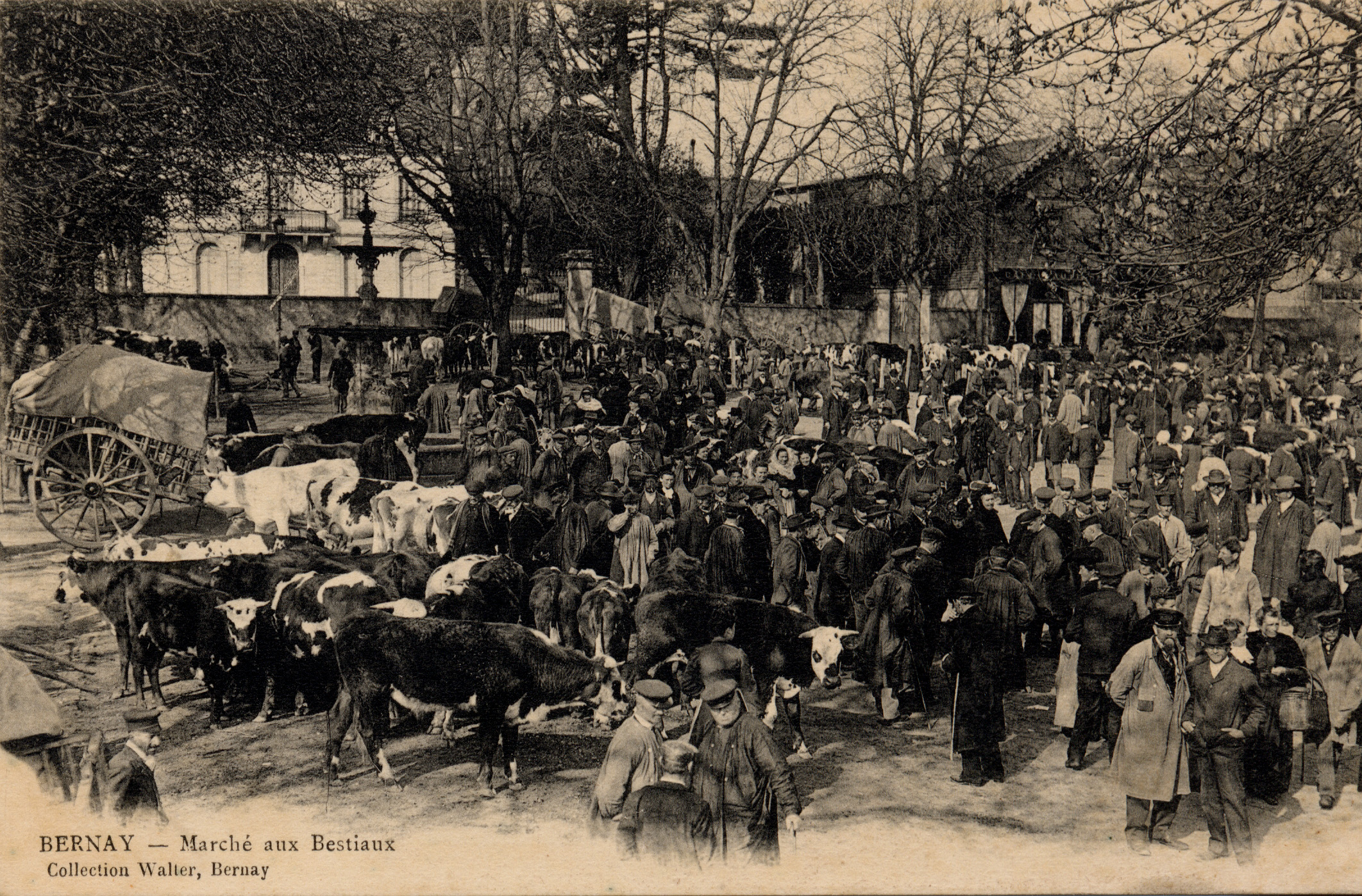 Bernay Marché aux bestiaux